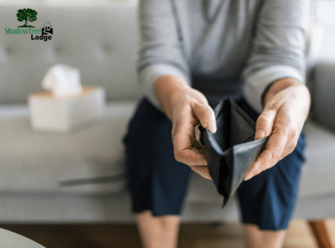 Cost of Assisted Living in Michigan: Prices and Planning