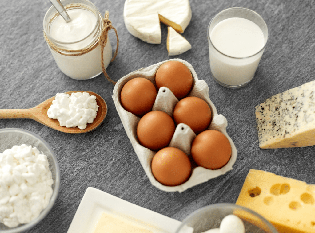 high protein snacks for seniors
