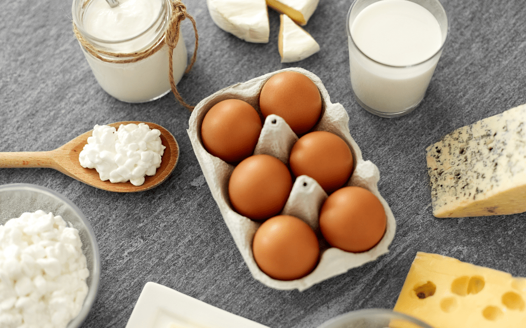High Protein Snacks for Seniors: Easy Ideas for Daily Energy